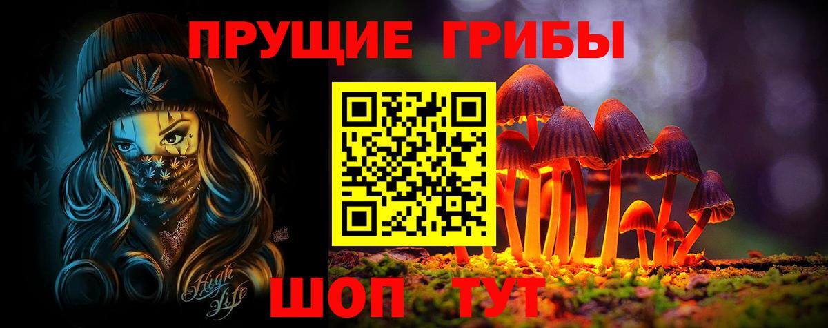 Красноармейск  Псилоцибиновые грибы MAGIC MUSHROOMS  Вход с VPN  Галлюциногенные грибы Cubensis 